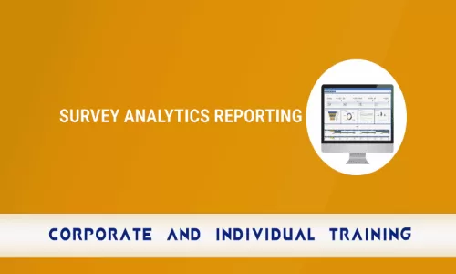 Survey Analytics Reporting