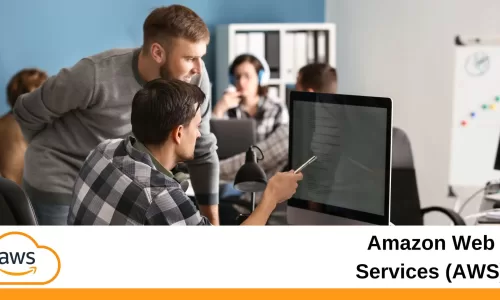 Amazon Web Services (AWS)