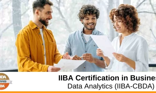 Get Ready for IIBA Certification in Business Data Analytics (IIBA-CBDA)