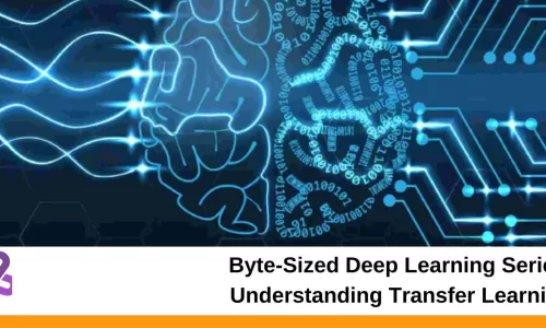 Byte-Sized Deep Learning Series: Understanding Transfer Learning