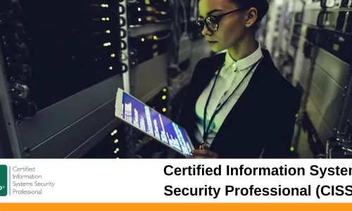 Certified Information Systems Security Professional (CISSP)